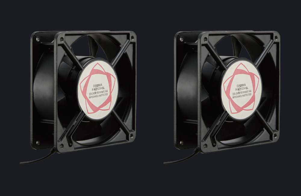 Fan